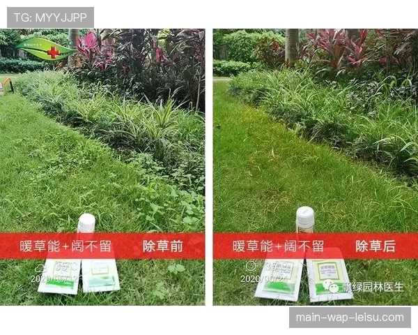 多家意甲俱乐部与高校合作,研究极端天气下草坪养护与比赛条件保障技术 多家意甲俱乐部与高校合作,研究极端天气下草坪养护与比赛条件保障技术